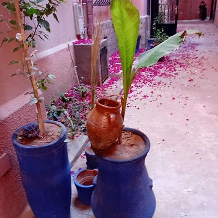 Riad Le Shams マラケシュ エクステリア 写真